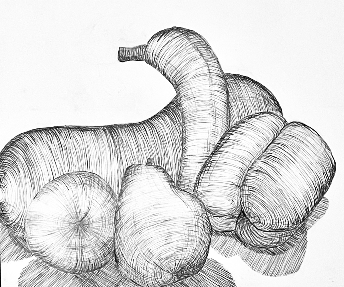A dense study of mixed produce, a pear, an orange, a squash and a banana, built entirely from directional hatching, the forms overlapping and casting hatched shadows.