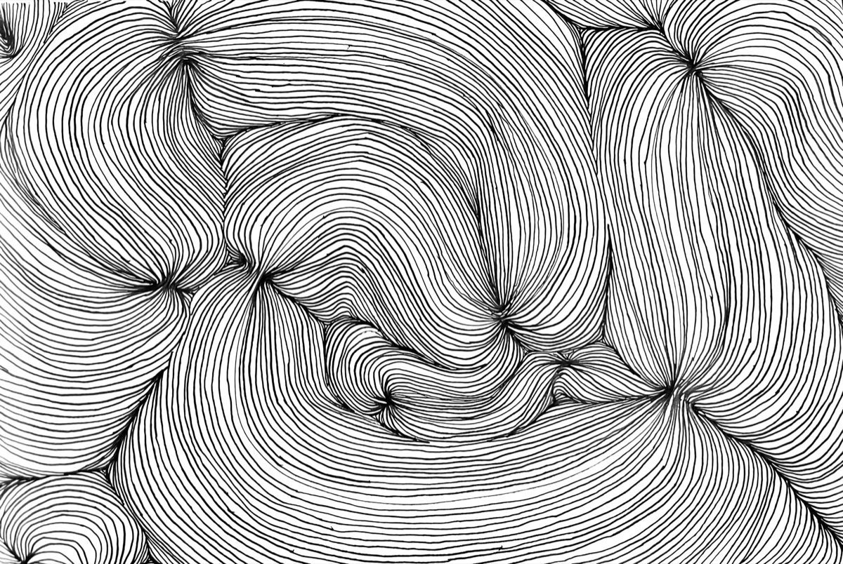 A field of hundreds of continuous parallel ink lines flowing around points where the flow converges and pinches, the spacing modulating to give the sheet depth.